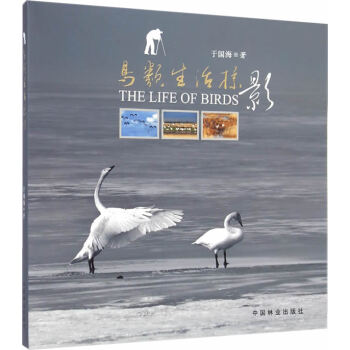 鸟类生活掠影 pdf epub mobi 电子书 下载