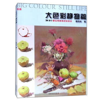 大色彩：静物篇 9787539861555 pdf epub mobi 电子书 下载