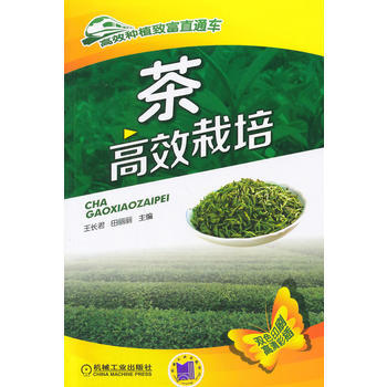 茶高效栽培 9787111502876 pdf epub mobi 電子書 下載