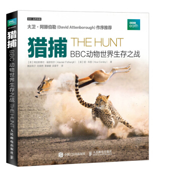 獵捕 BBC動物世界生存之戰(彩印) 自然探索叢書 獵豹非洲野狗 虎鯨北極熊動物捕食畫麵精美照片欣 pdf epub mobi 電子書 下載