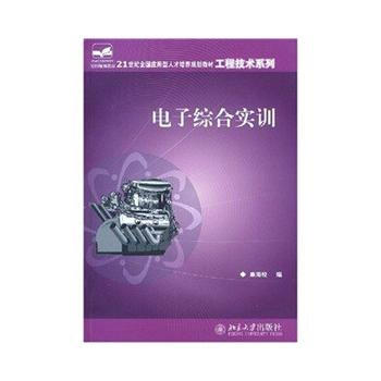 电子综合实训 9787301131855 pdf epub mobi 电子书 下载