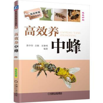 高效养中蜂 9787111529361 pdf epub mobi 电子书 下载