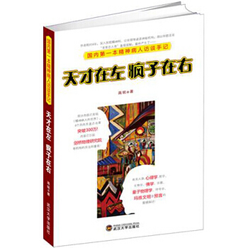 天才在左疯子在右 pdf epub mobi 电子书 下载