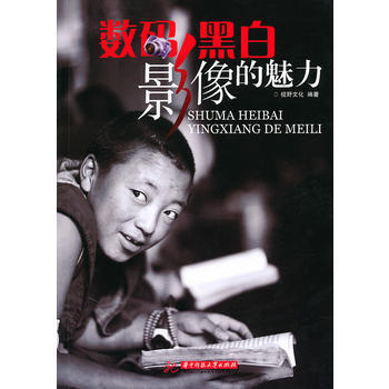 数码黑白影像的魅力 pdf epub mobi 电子书 下载