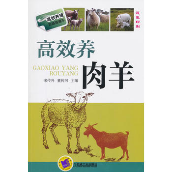 高效养肉羊 9787111497813 pdf epub mobi 电子书 下载