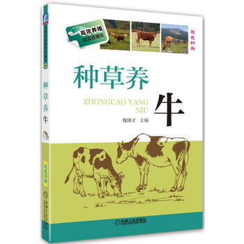 种草养牛 9787111560975 pdf epub mobi 电子书 下载