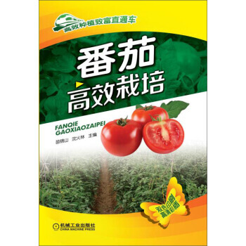 番茄高效栽培 9787111492641 pdf epub mobi 電子書 下載