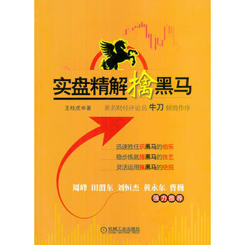 实盘精解擒黑马 pdf epub mobi 电子书 下载