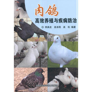 肉鴿高效養殖與疾病防治 pdf epub mobi 電子書 下載