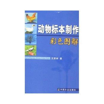 動物標本製作彩色圖解 9787109111011 pdf epub mobi 電子書 下載