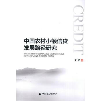 中国农村小额信贷发展路径研究