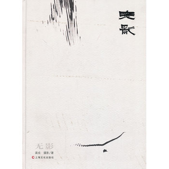 无影 9787553501413 pdf epub mobi 电子书 下载