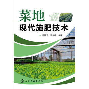 菜地現代施肥技術 9787122289421 pdf epub mobi 電子書 下載