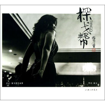 汪宏探戈摄影画册：探戈帮 9787542641984 pdf epub mobi 电子书 下载