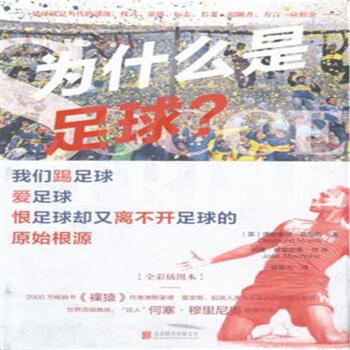 为什么是足球? pdf epub mobi 电子书 下载