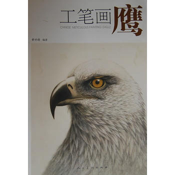 工筆畫鷹 9787102047140 pdf epub mobi 電子書 下載
