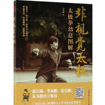 非視覺太極(太極拳勁意圖解) pdf epub mobi 電子書 下載