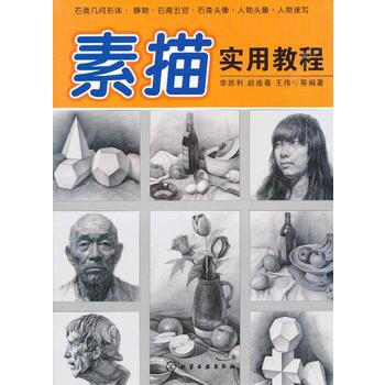 素描實用教程 9787122161833 pdf epub mobi 電子書 下載