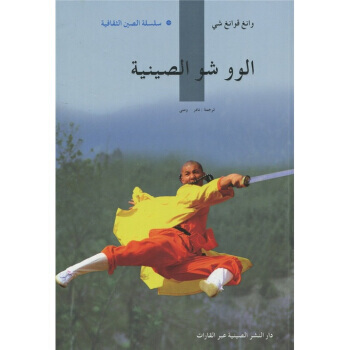 中國功夫 9787508519739 pdf epub mobi 電子書 下載