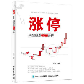 涨停：典型股票盘口分析 9787121270598 电子工业出版社 pdf epub mobi 电子书 下载