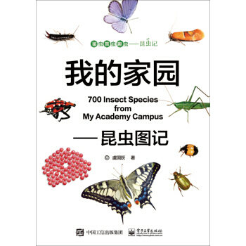 我的家园 昆虫图记 9787121303166