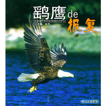 鹞鹰de报复——人与自然丛书 pdf epub mobi 电子书 下载
