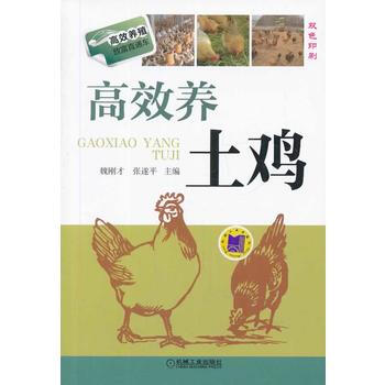 高效养土鸡 pdf epub mobi 电子书 下载