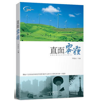 直麵霧霾 pdf epub mobi 電子書 下載