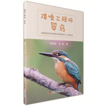 降噪工程師-翠鳥 9787110096659