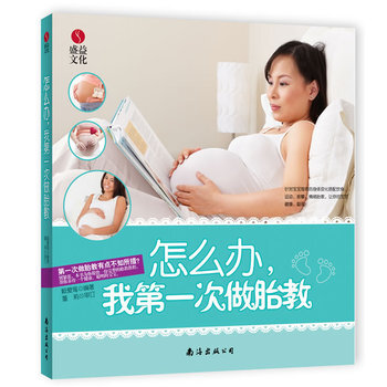 怎么办，我次做胎教 9787544260107 pdf epub mobi 电子书 下载