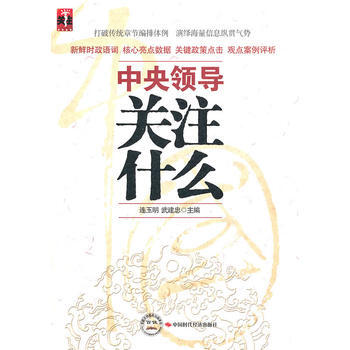 中央领导关注什么 9787511903006 pdf epub mobi 电子书 下载