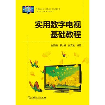 实用数字电视基础教程 9787512358539 pdf epub mobi 电子书 下载