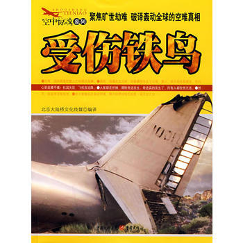 受伤铁鸟 pdf epub mobi 电子书 下载