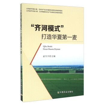 “齐河模式”打造华夏麦 pdf epub mobi 电子书 下载
