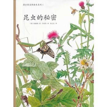 昆虫是秘密-1 pdf epub mobi 电子书 下载