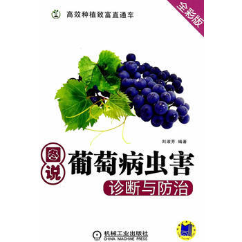 图说葡萄病虫害诊断与防治(高效种植致富直通车) 9787111465171 pdf epub mobi 电子书 下载
