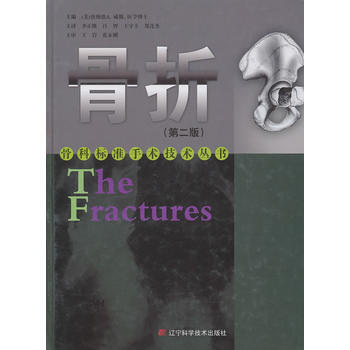 骨摺(第二版) 9787538167009 pdf epub mobi 電子書 下載