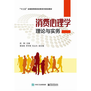 消费心理学理论与实务 9787121320156 pdf epub mobi 电子书 下载