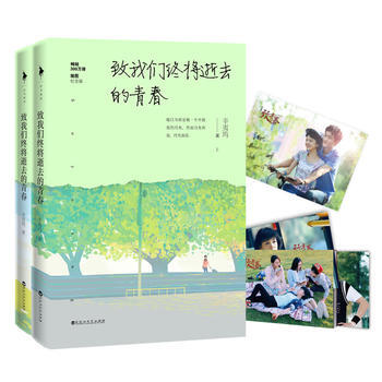 緻我們終將逝去的青春 插圖紀念版 9787550017313 pdf epub mobi 電子書 下載