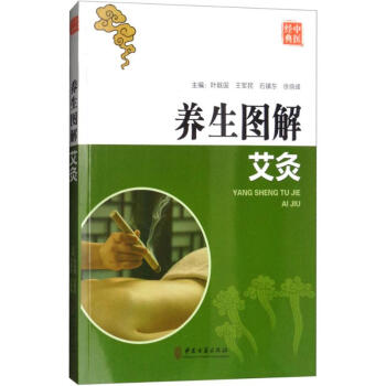 養生圖解艾灸 pdf epub mobi 電子書 下載