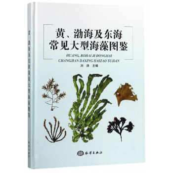 黄渤海及东海常见大型海藻图鉴(精) pdf epub mobi 电子书 下载