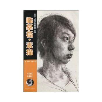 临摹篇 素描 9787535244949 pdf epub mobi 电子书 下载