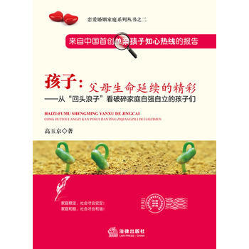 孩子：父母生命延续的精彩 9787511852588 pdf epub mobi 电子书 下载