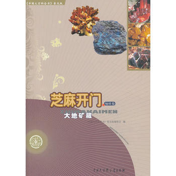 中国大百科全书(普及版)：芝麻开门--大地矿藏9787500092230 中国大百科全书出 pdf epub mobi 电子书 下载