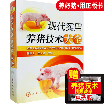 现货正版 现代实用养猪技术大全 可搭猪常见病诊治彩色图谱 养猪书 猪病学猪病防治与诊断 农籍业科学养 pdf epub mobi 电子书 下载