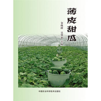 薄皮甜瓜 pdf epub mobi 电子书 下载