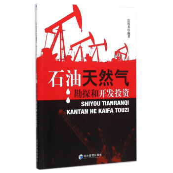 石油天然氣勘探和開發投資 雷勝其著 9787509636558 pdf epub mobi 電子書 下載