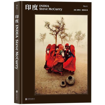 史蒂夫.麥凱瑞:印度 pdf epub mobi 電子書 下載