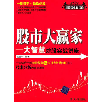 股市大贏傢——大智慧炒股實戰講座 pdf epub mobi 電子書 下載