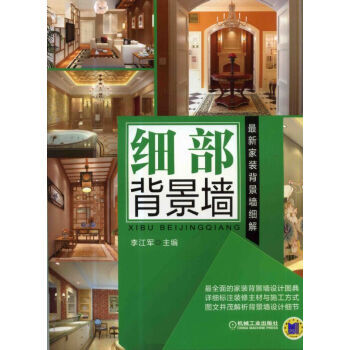 新傢裝背景牆細解 細部背景牆 pdf epub mobi 電子書 下載